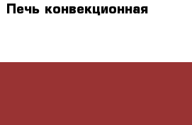 Печь конвекционная Iterma pi-804i Гастроемкости 600*400 в ассортименте. › Цена ­ 30000-1000 - Алтайский край, Белокуриха г. Бизнес » Оборудование   